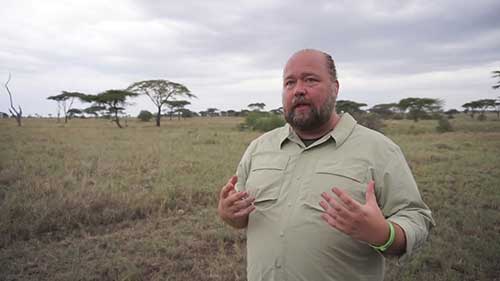 国际市场营销策略