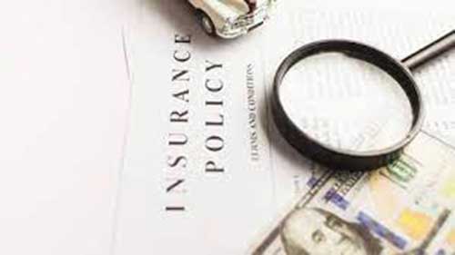 如何阅读保险条款