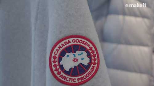 加拿大鹅的逆袭故事