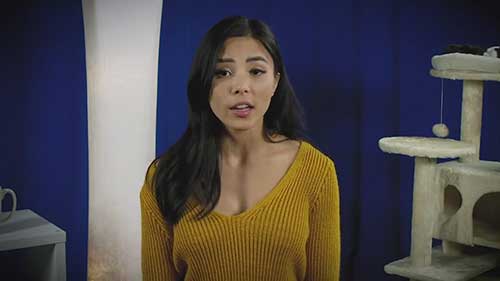 最小可行性产品的转型