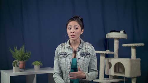 理解财务基本术语