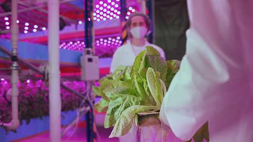 环保类商业想法