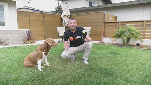 电商创业案例分析1