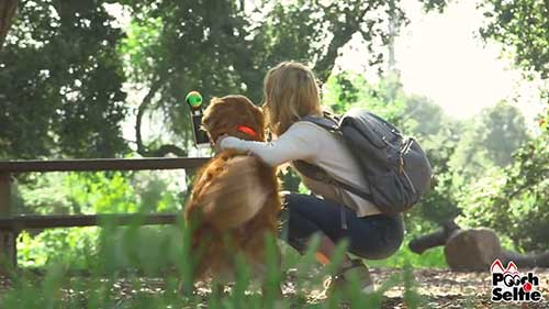 电商创业案例分析2