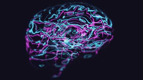 认识神经营销学2