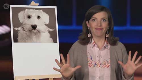 如何做市场研究