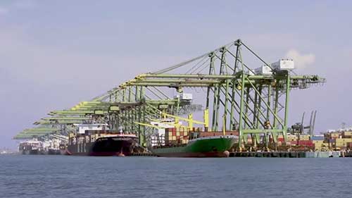 优化港区服务流程