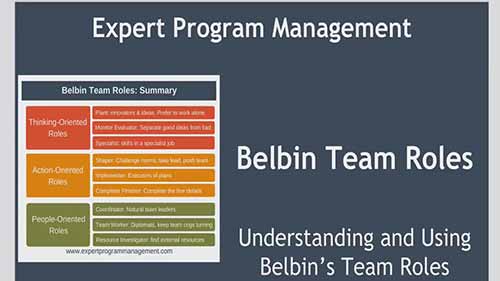 贝尔宾团队角色