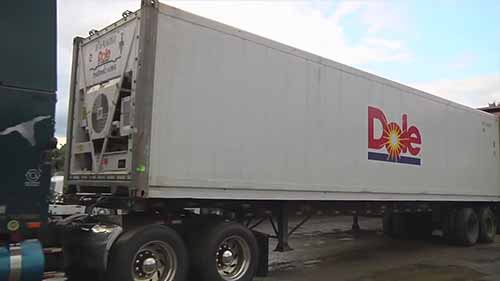 都乐的冷链物流