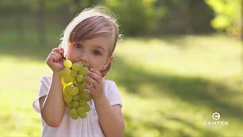 冷链物流确保食品安全