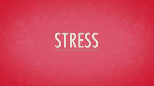 情感、压力以及健康