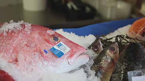 海鲜产品的溯源