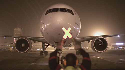 塞内加尔的鲜鱼航空运输