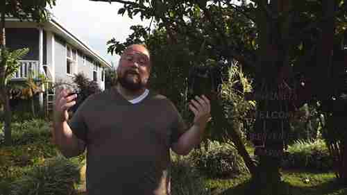 国际市场进入策略