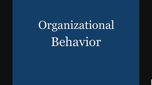 组织行为学1