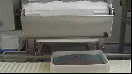 可回收鲜活海鲜打包盒