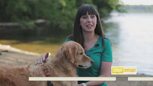 网红改变营销方式