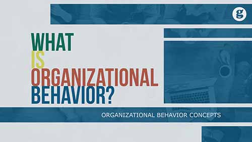 什么是组织行为学