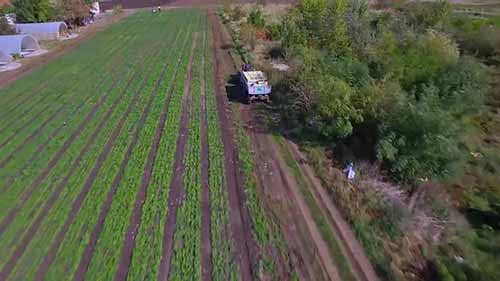 未来，商店里会有什么