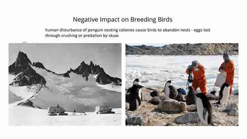 南极洲的可持续旅游开发