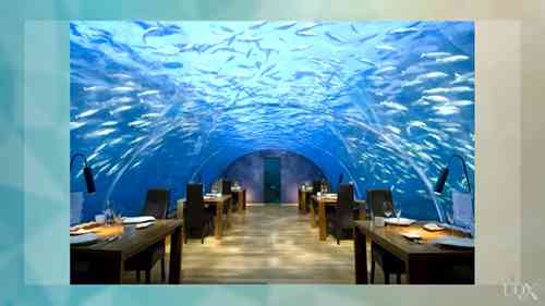 旅游从业者的未来