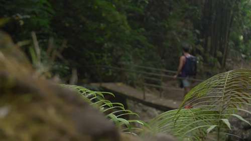 如何创办旅行社