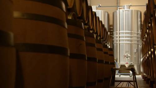 勃艮第产区指南