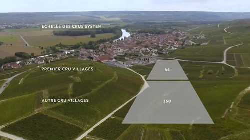 香槟的品质为何有区别