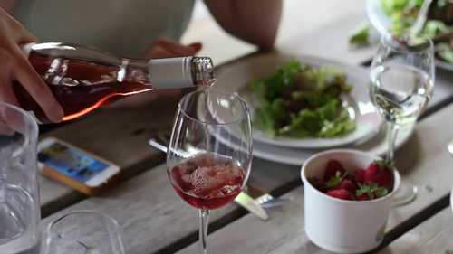 葡萄酒之乡：葡萄藤