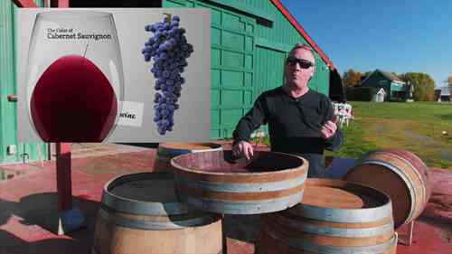 葡萄酒桶的类型