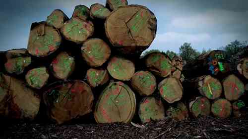 酒桶：法国橡木
