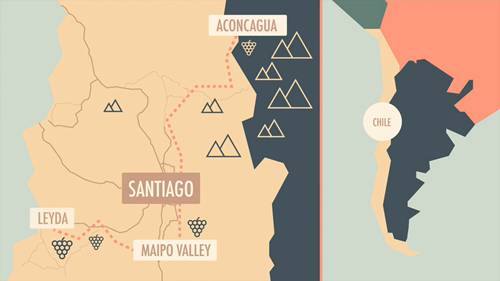 智利阿空加瓜谷葡萄酒产区
