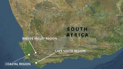 南非葡萄酒产区