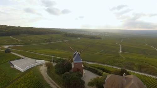 撒丁岛的卡诺娜葡萄酒