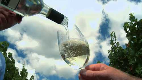 带你品酒：黑皮诺和歌海娜