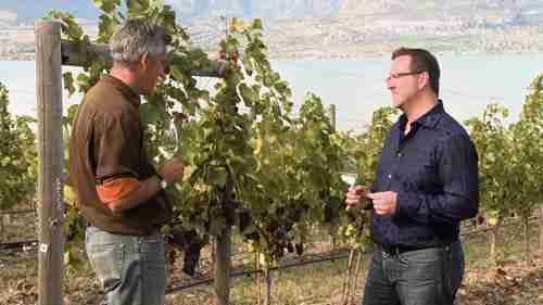 带你品酒：黑皮诺