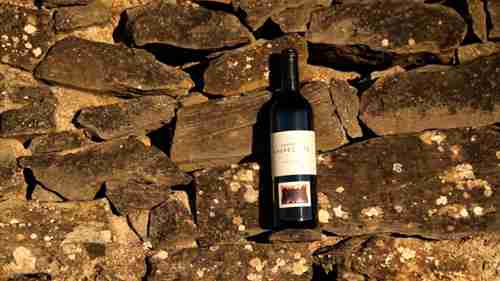 带你品酒：马尔贝克