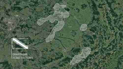 如何阅读法国葡萄酒的标签