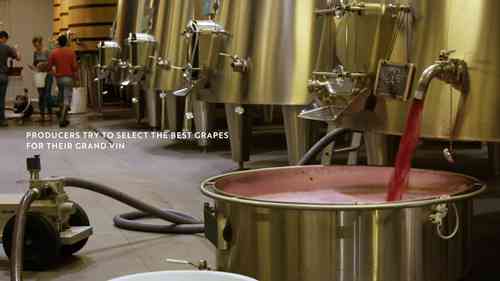 波尔多酒庄及其葡萄酒