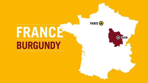 勃艮第的红葡萄酒