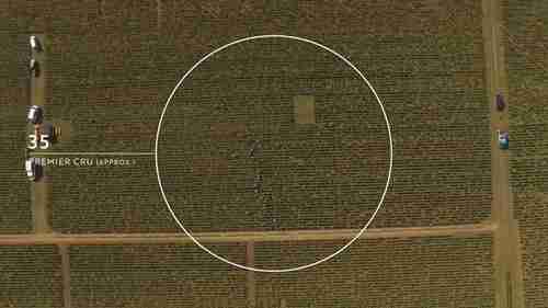 勃艮第的葡萄酒子产区