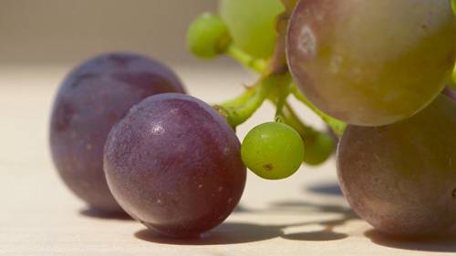 美国加州索诺玛县产区