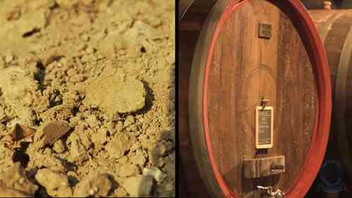 巴罗洛和巴巴莱斯科产区