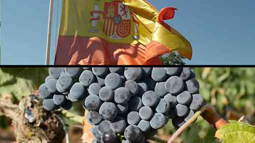 里奥哈与杜埃罗河岸的葡萄酒