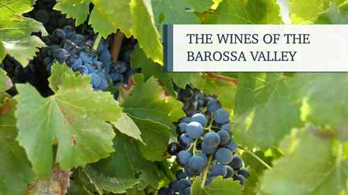 澳大利亚巴罗萨谷产区