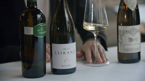 西班牙葡萄酒 01 概述