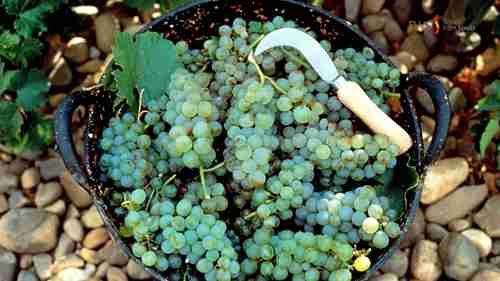 西班牙葡萄酒 03 中北部产区