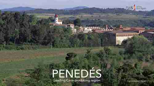 西班牙葡萄酒 04 东部产区