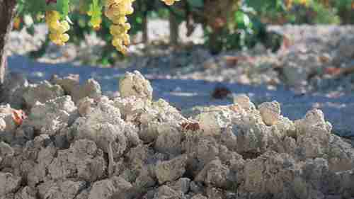 西班牙葡萄酒 05 南部产区