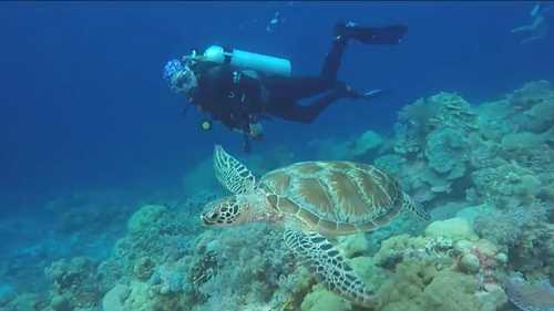 印度十大平价潜水胜地